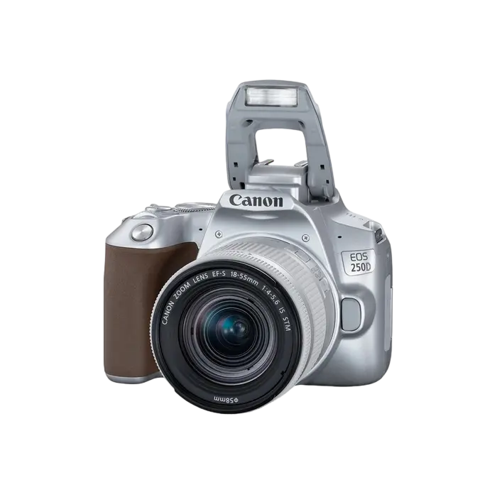 Зеркальный фотоаппарат Canon EOS 250D & EF-S