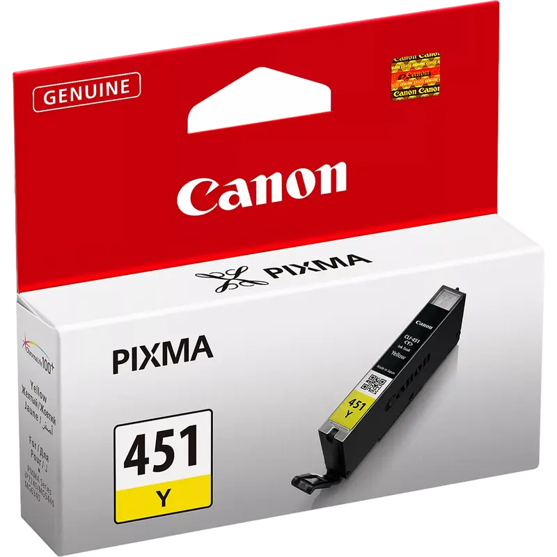 Cartuș de cerneală ChinaMate CLI-451