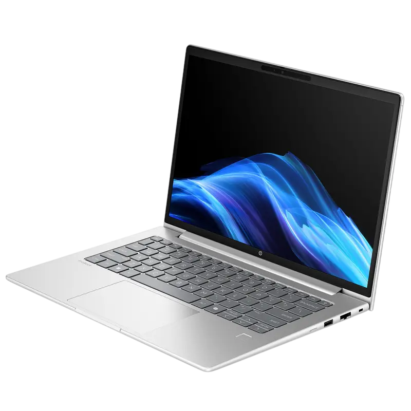 Ноутбук для бизнеса HP ProBook 4 G1a Pike Silver