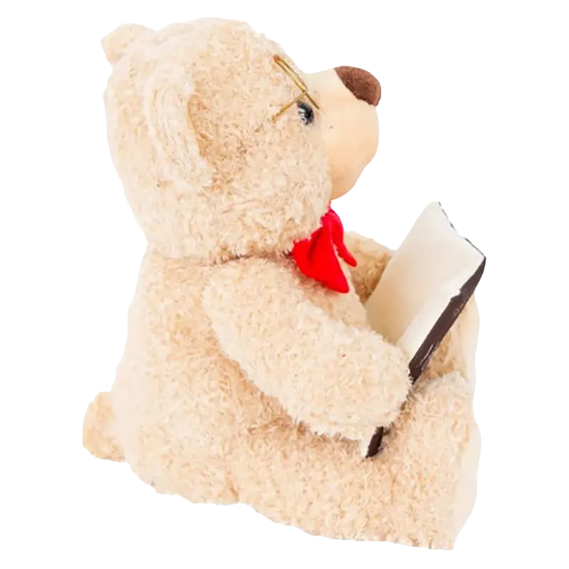 Noriel Toto the Storytelling Bear