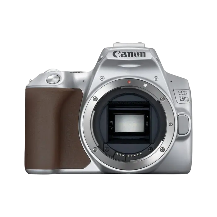 Зеркальный фотоаппарат Canon EOS 250D & EF-S