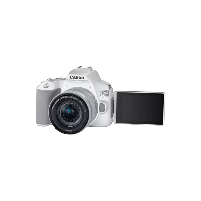 Зеркальный фотоаппарат Canon EOS 250D & EF-S