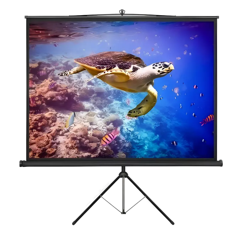 Экран с штативом Reflecta Crystal-Line 1:1