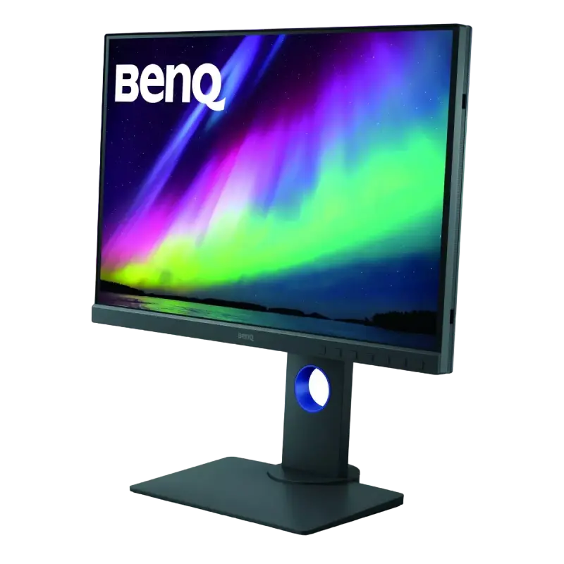 Монитор BenQ SW240 Серый