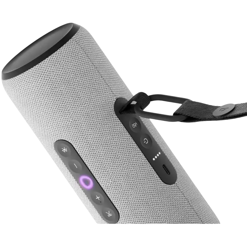 Difuzor Inteligent Yandex Station Street Gri