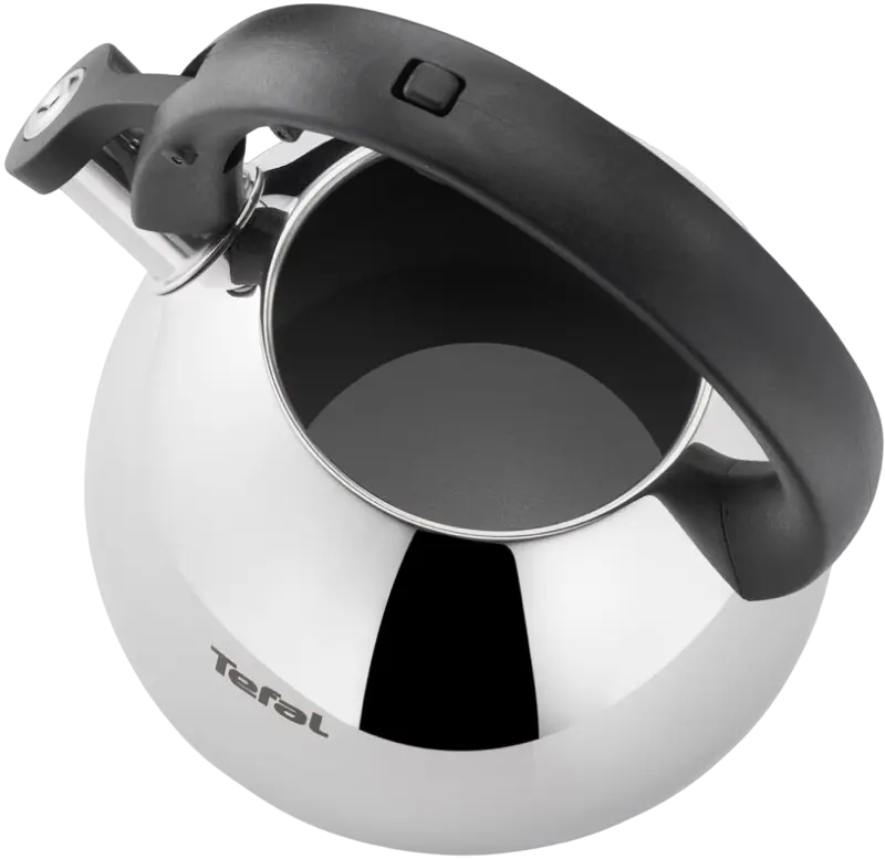 Чайник Tefal K2481574 Нержавеющая сталь