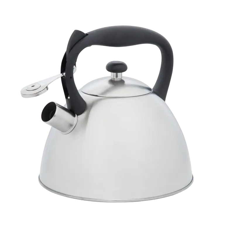 Чайник RESTO GEMINI Gemini Нержавеющая сталь