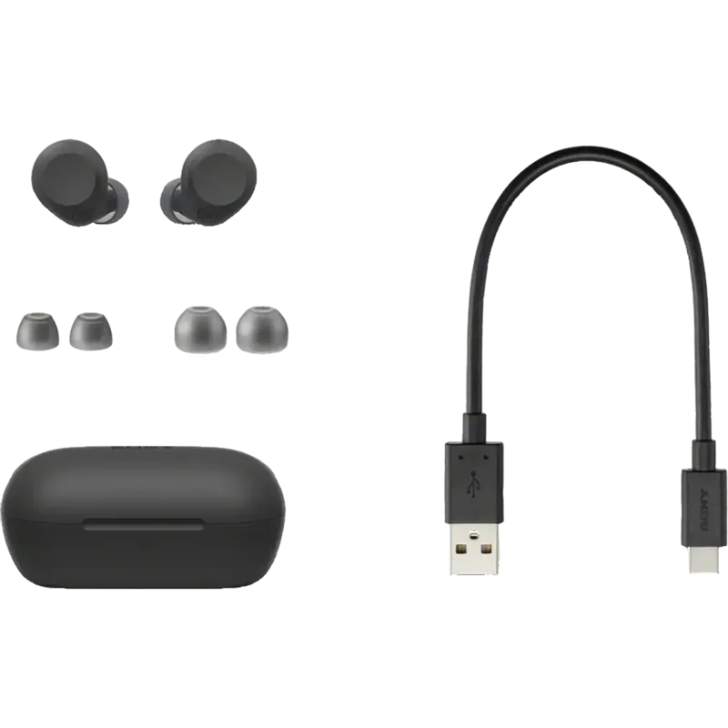 Наушники SONY WF-C710NB Чёрный