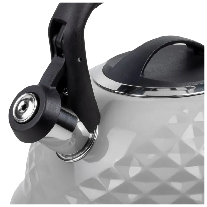 Чайник RESTO ALMAAZ Almaaz Серый