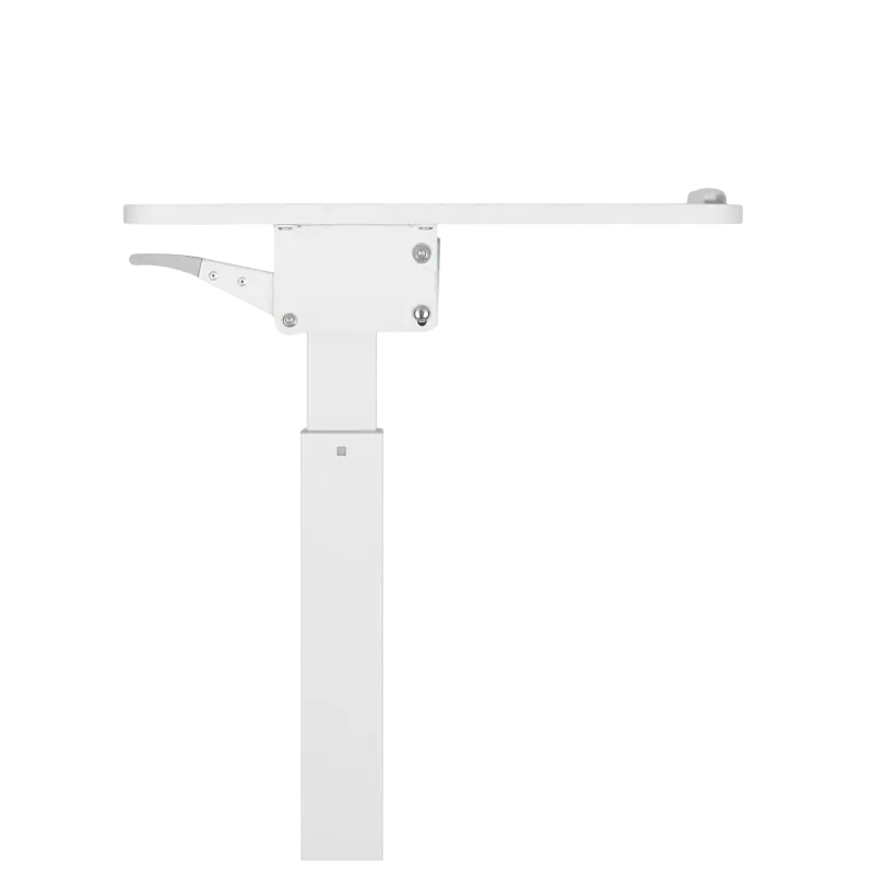 Reflecta Dino MWS600