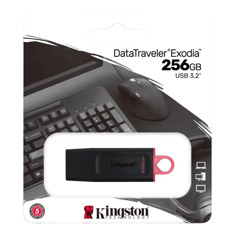 USB Flash накопитель Kingston DataTraveler Exodia 256ГБ Чёрный