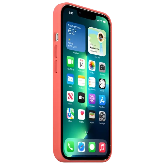 Чехол Apple iPhone 13 Pro Silicone Case MagSafe A2707 Силиконовый Чехол Pink Pomelo
