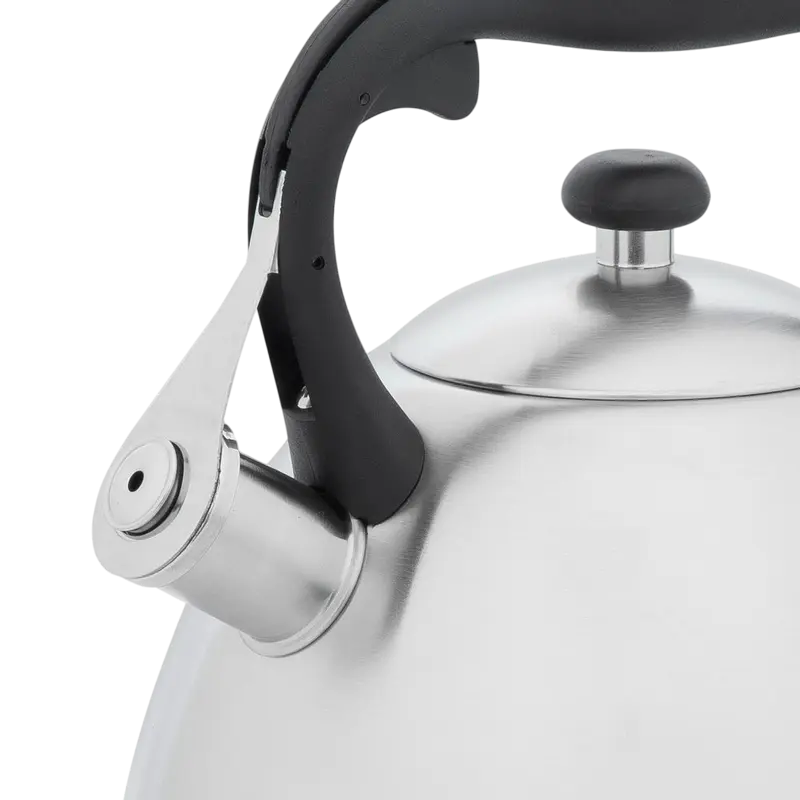 Чайник RESTO GEMINI Gemini Нержавеющая сталь