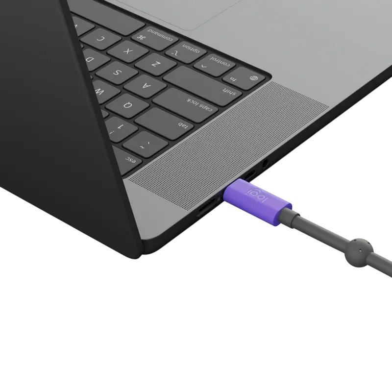 Аксессуары для веб-камер Logitech Active Серый