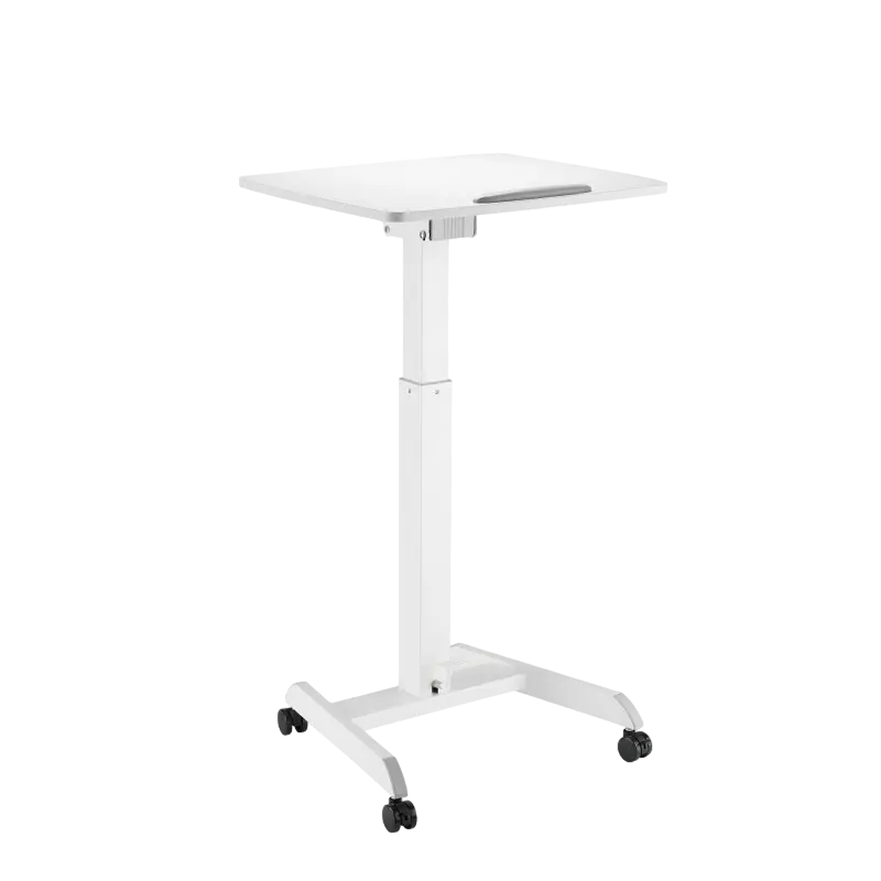 Reflecta Dino MWS600