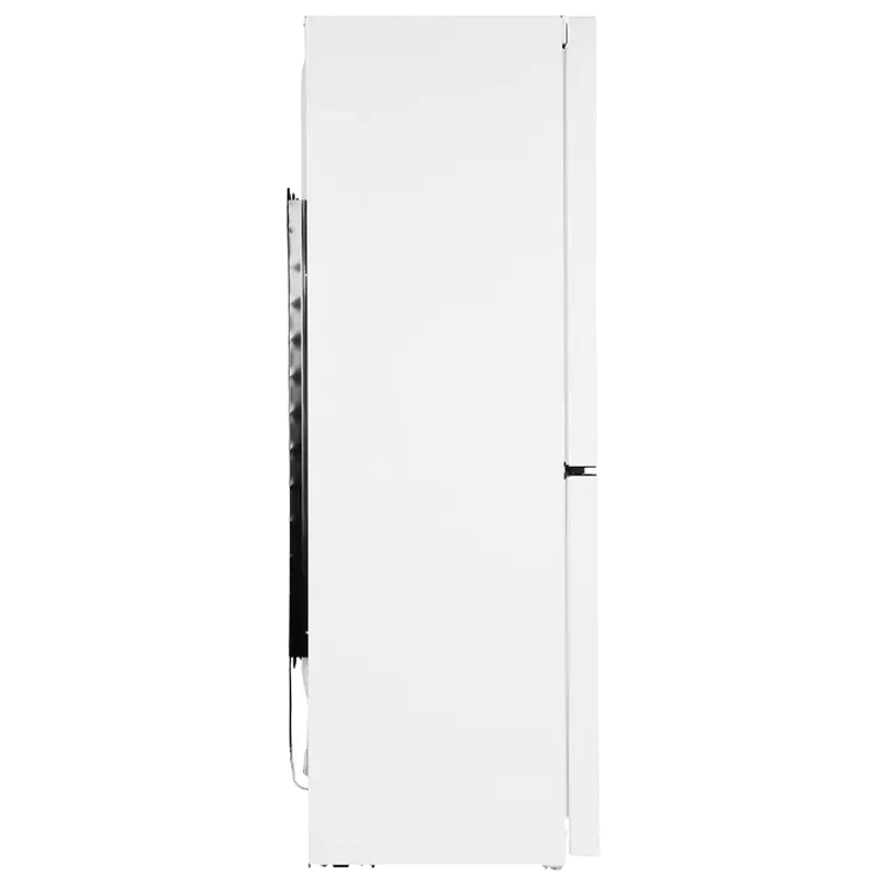 Холодильник Indesit DS 3161 W Белый