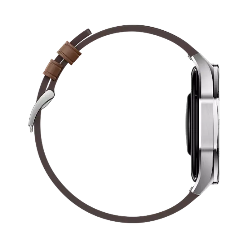 Умные часы Huawei Watch GT 5 Коричневый