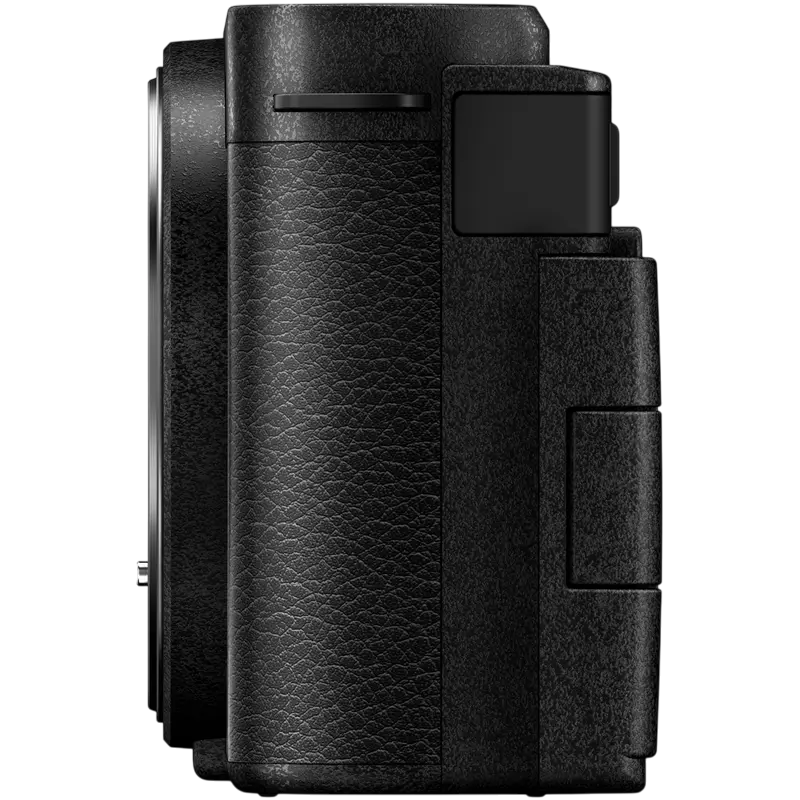 Беззеркальный фотоаппарат Panasonic Lumix DC-S9NE-K & Lumix S