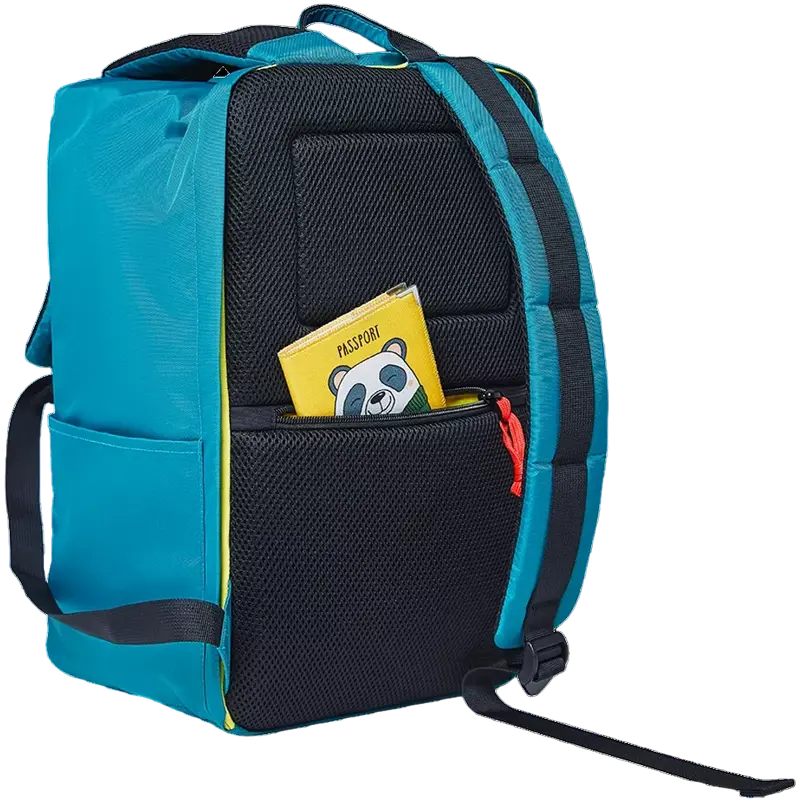 Рюкзак для ноутбука Canyon CSZ-02 Темный аквамарин