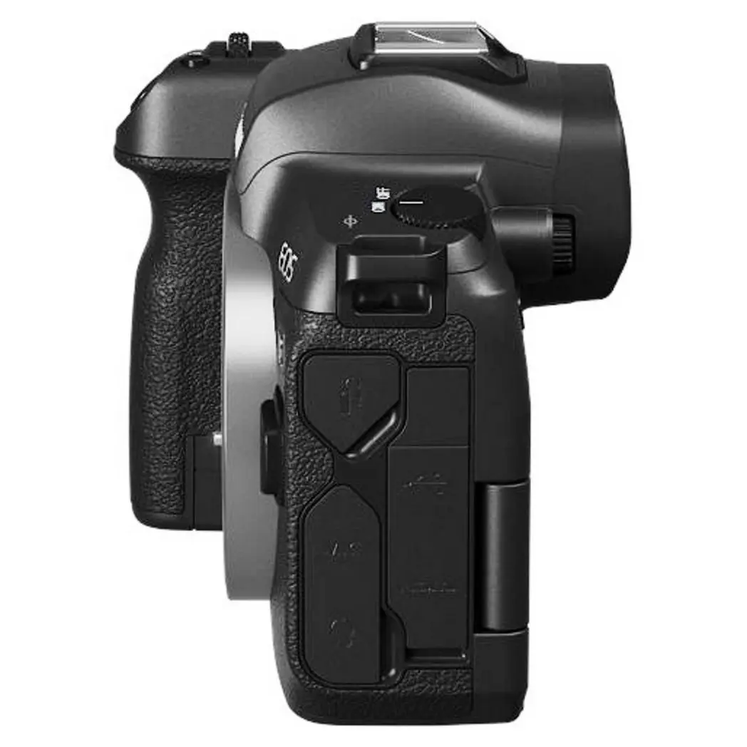 Canon EOS RP + Adapter + EF Lenses