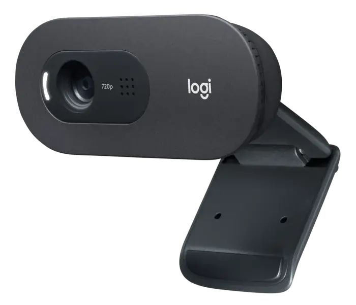 Веб-камера Logitech C505e Черный