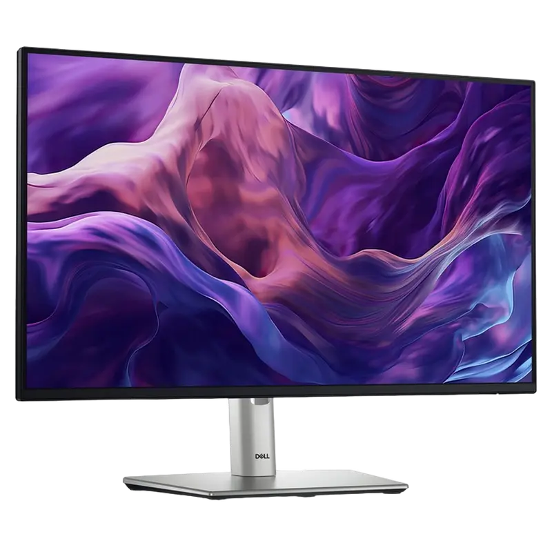 Монитор DELL P2425H Чёрный | Серебристый