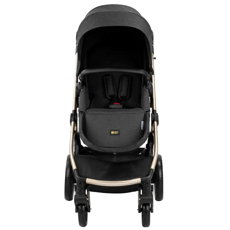 Коляска 3-в-1 Kikka Boo Ugo Черный