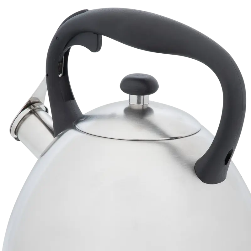 Чайник RESTO GEMINI Gemini Нержавеющая сталь