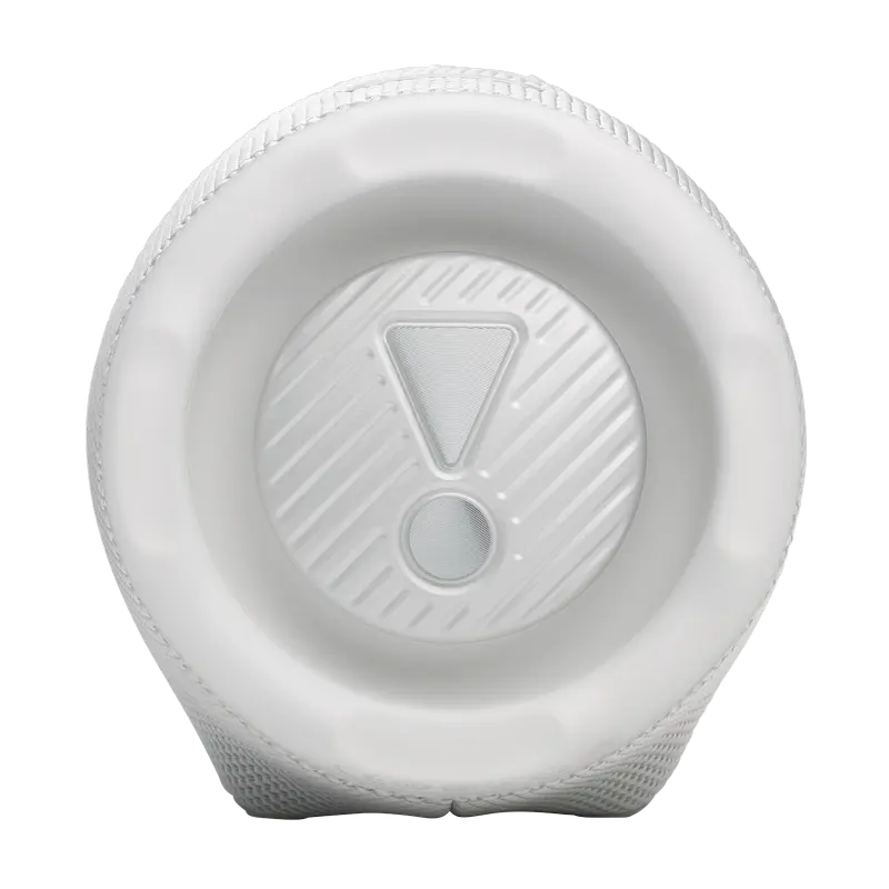 Портативная колонка JBL Charge 6 Белый