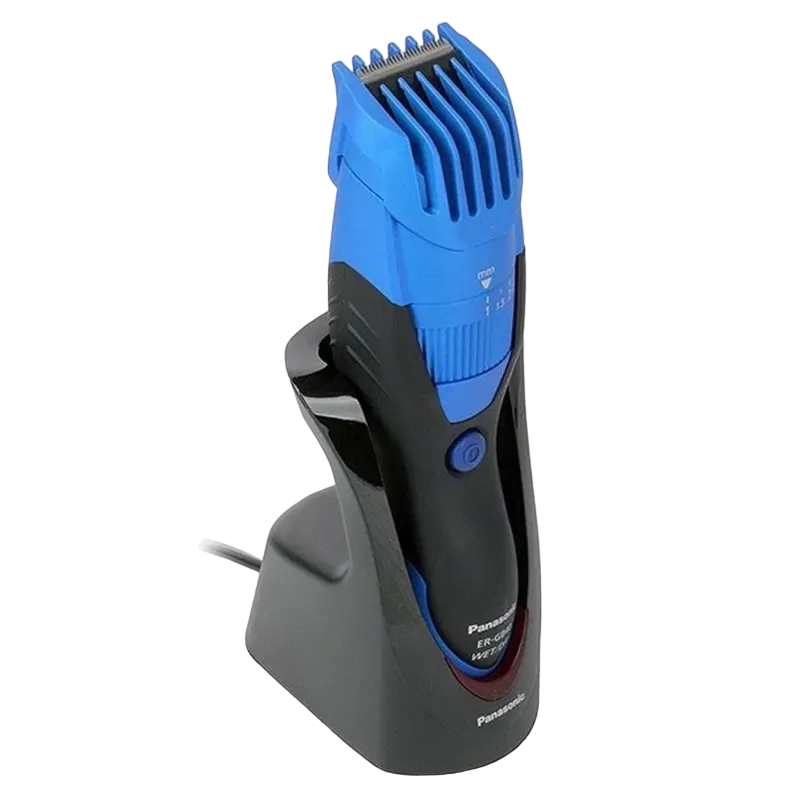 Мужской Триммер Panasonic ER-GB40-A520 Черный | Синий