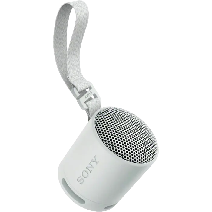 Портативная колонка SONY XB100 Светло-серый
