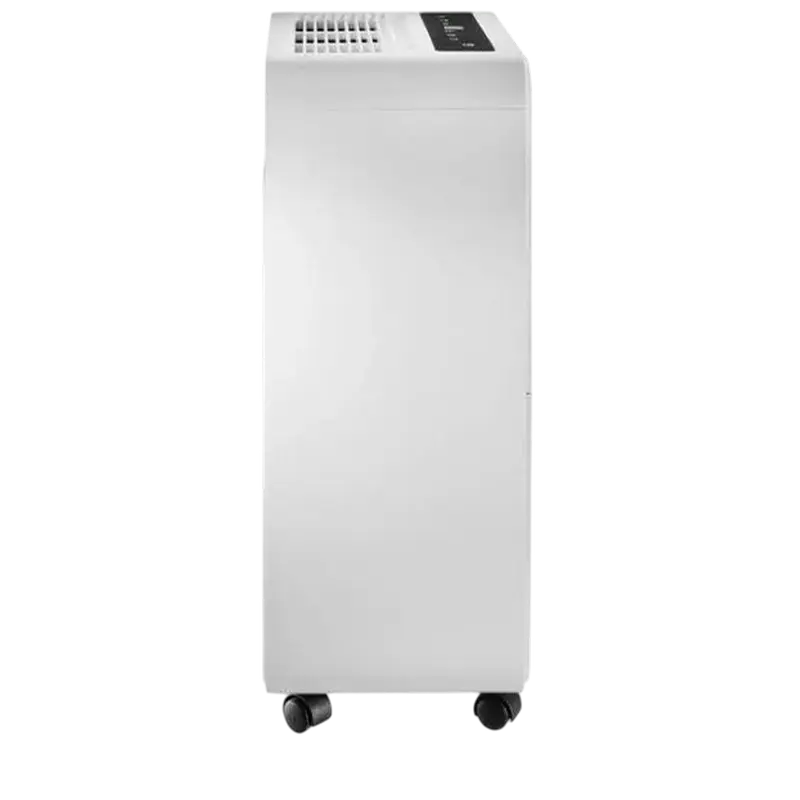 Осушитель воздуха Hisense D12CW Белый