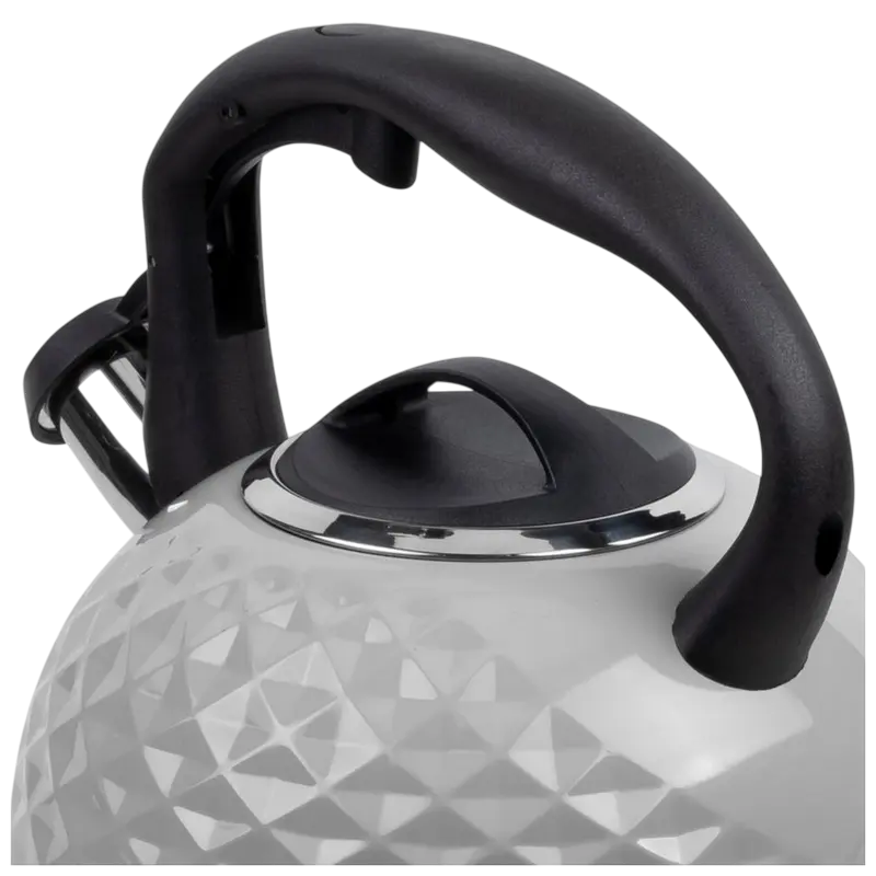 Чайник RESTO ALMAAZ Almaaz Серый