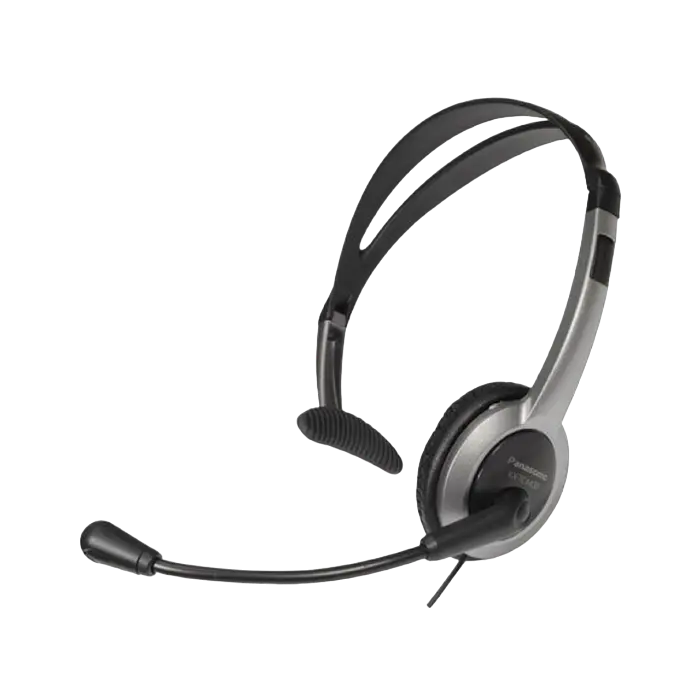 Căști Panasonic RP-TCA430 Argintiu