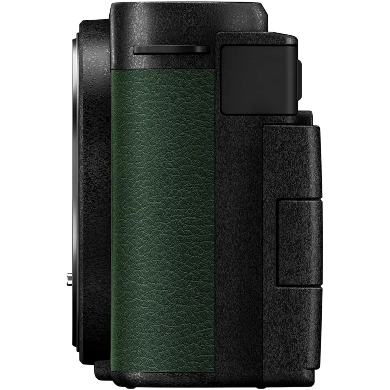 Беззеркальный фотоаппарат Panasonic Lumix DC-S9NE-G & Lumix S