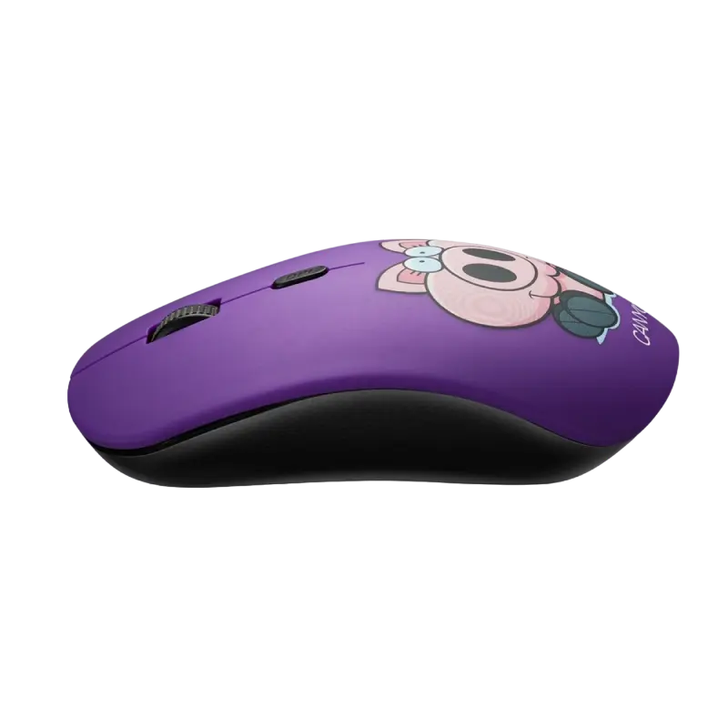 Беcпроводная мышь Canyon CND-CMSW401PB Беспроводное Разноцветный