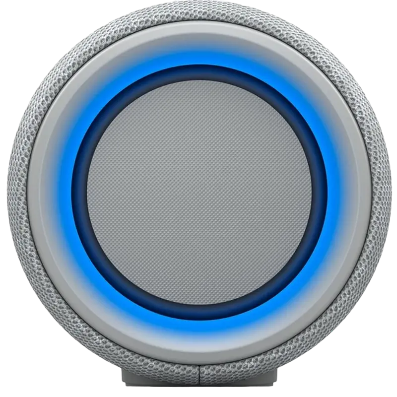 Аудиосистема SONY SRS-XG300 Grey