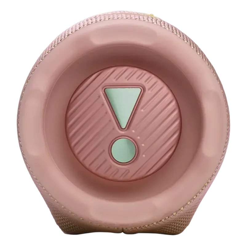 Портативная колонка JBL Charge 6 Розовый