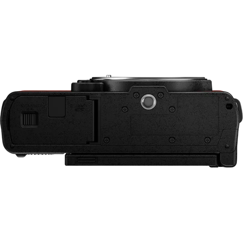 Aparat Foto Mirrorless Panasonic Lumix DC-S9NE-R & Lumix S