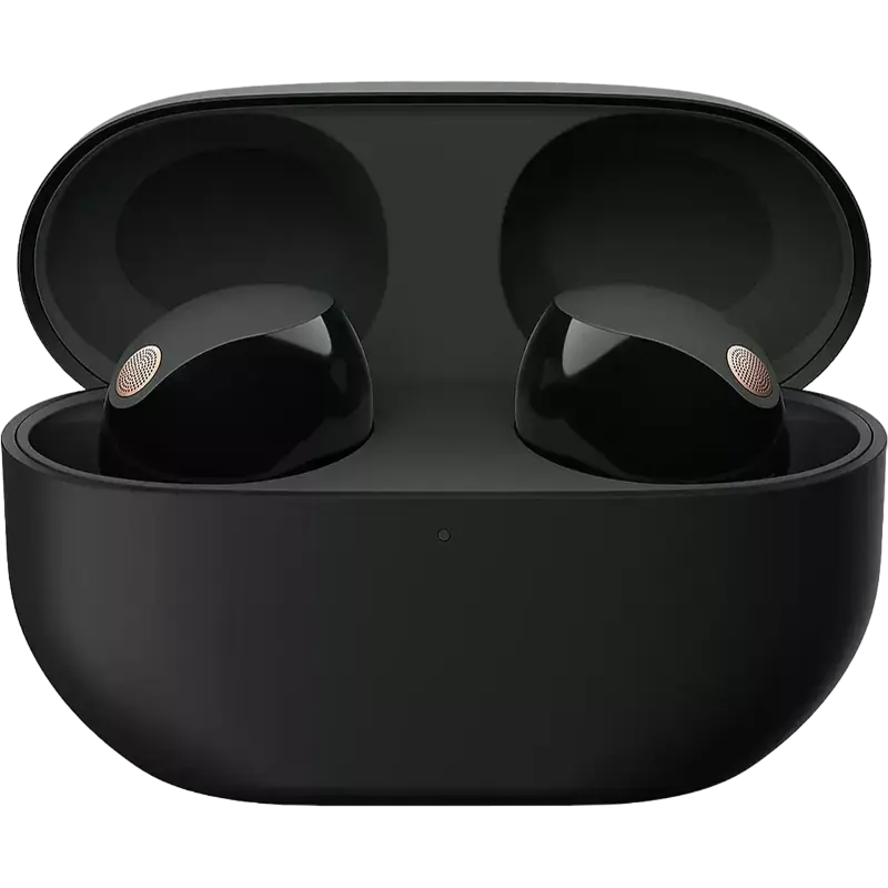 Наушники SONY WF-1000XM5B Чёрный