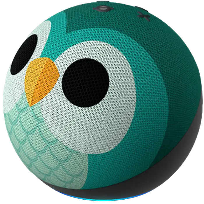 Умная колонка Amazon Echo Dot 5th Gen Сова