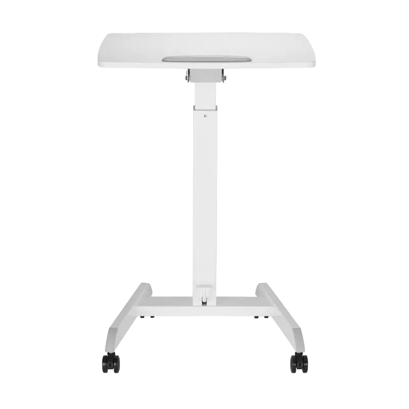 Reflecta Dino MWS600