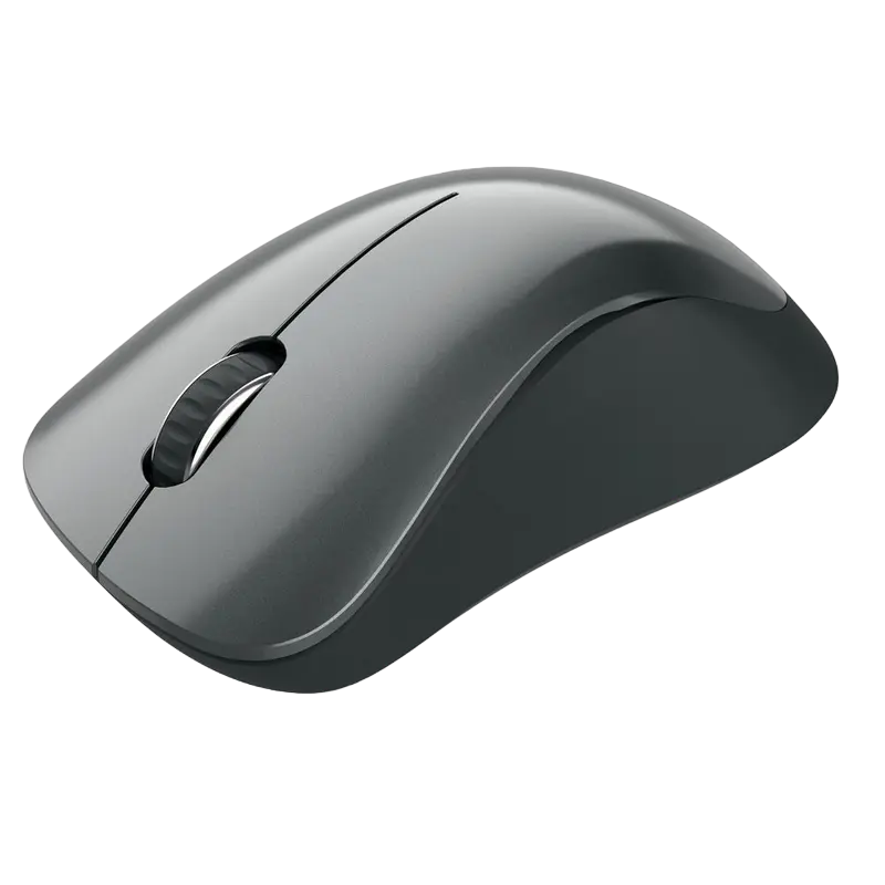 Беcпроводная мышь Canyon MW-11 Беспроводное Чёрный