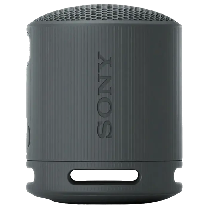 Портативная колонка SONY XB100 Чёрный
