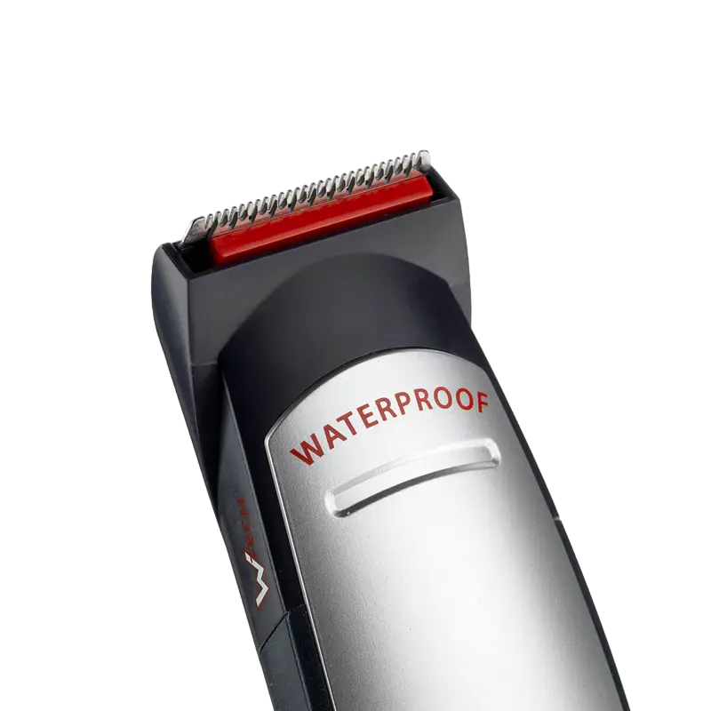 Мужской Триммер BaByliss E837E Серебристый