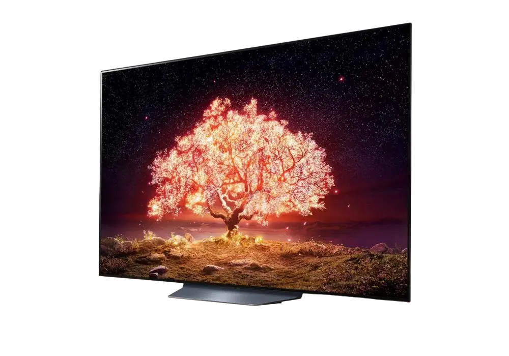 65" OLED SMART TV LG OLED65B1RLA Negru