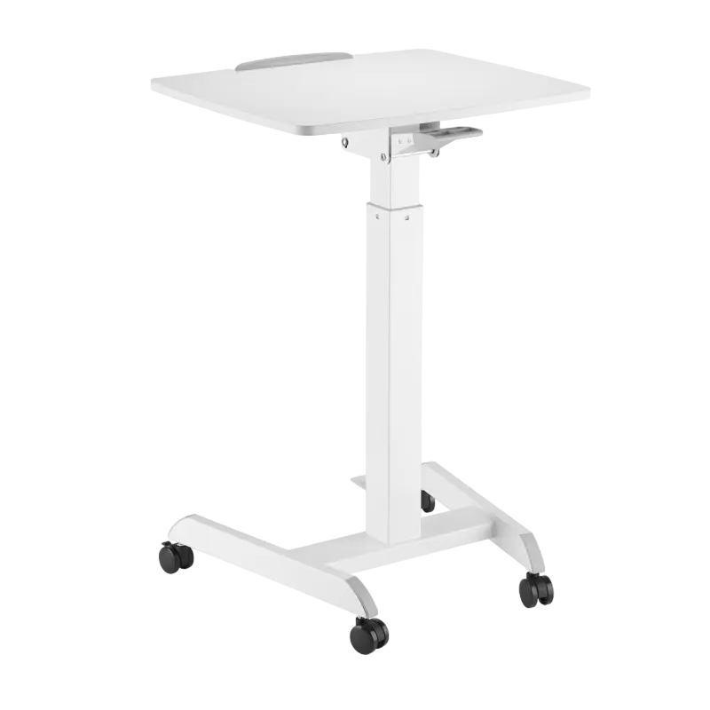 Reflecta Dino MWS600