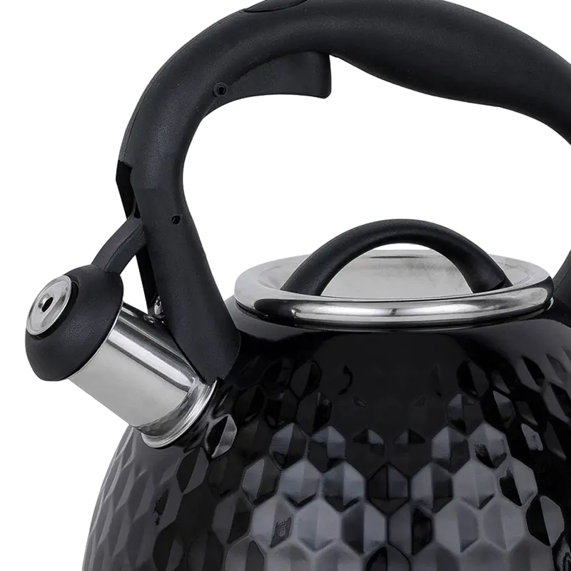 Чайник RESTO ARIES ARIES Черный