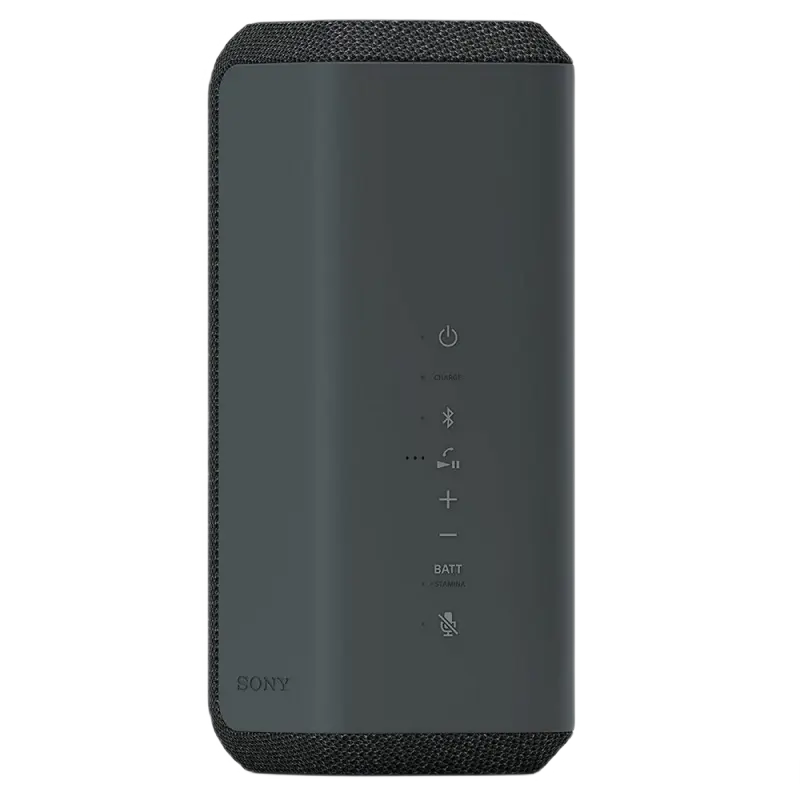 Портативная колонка SONY SRS-XE300 Чёрный