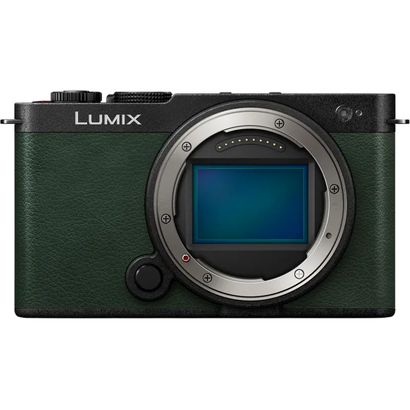 Беззеркальный фотоаппарат Panasonic Lumix DC-S9NE-G & Lumix S
